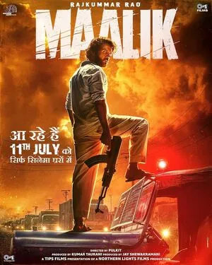 Maalik 2025 Hindi WEB-DL 720p - 480p - 1080p