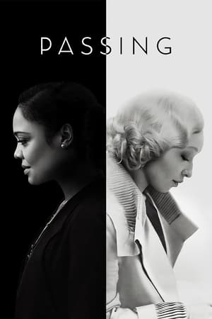 Passing 2021 Hindi Dual Audio 480p Web-DL 320MB